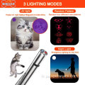 Pointeur laser pour les chats USB rechargeable